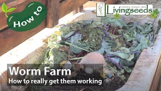 Worm Farms: How to really get them working