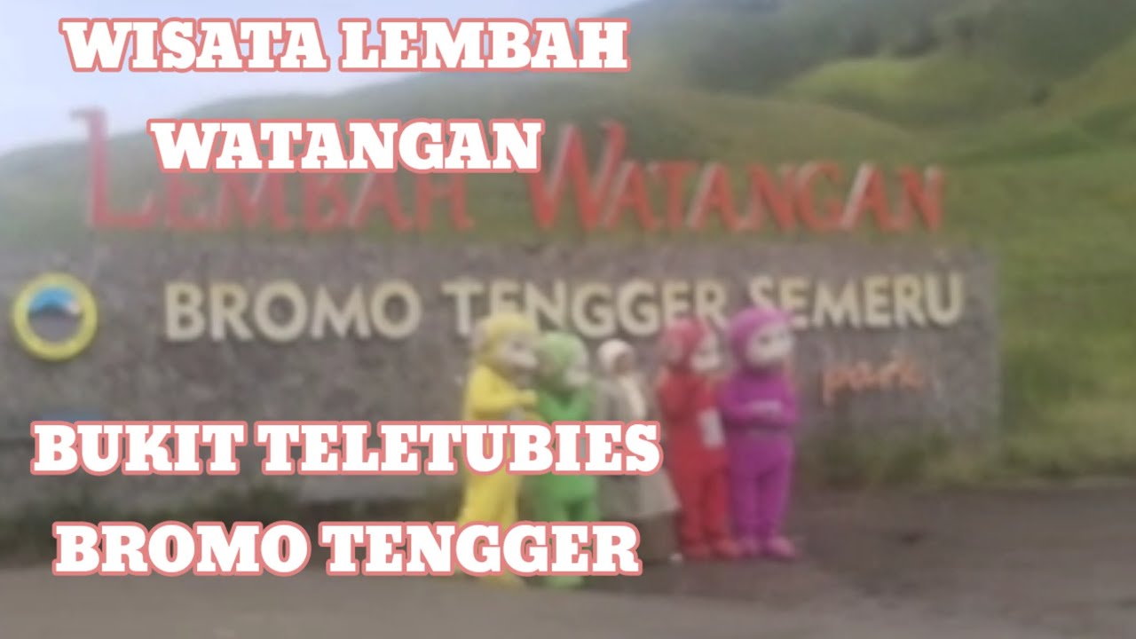 WISATA BUKIT TELETUBIES LEMBAH WATANGAN BROMO TENGGER
