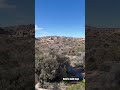Homi’s Quiet Days | Scenic View from a Desert Well in Joshua Tree | California Travel