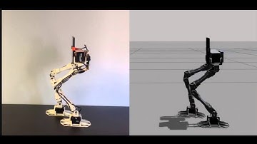 3D printed compliant robot walking
