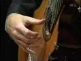Goran Sollscher - 11 string guitar