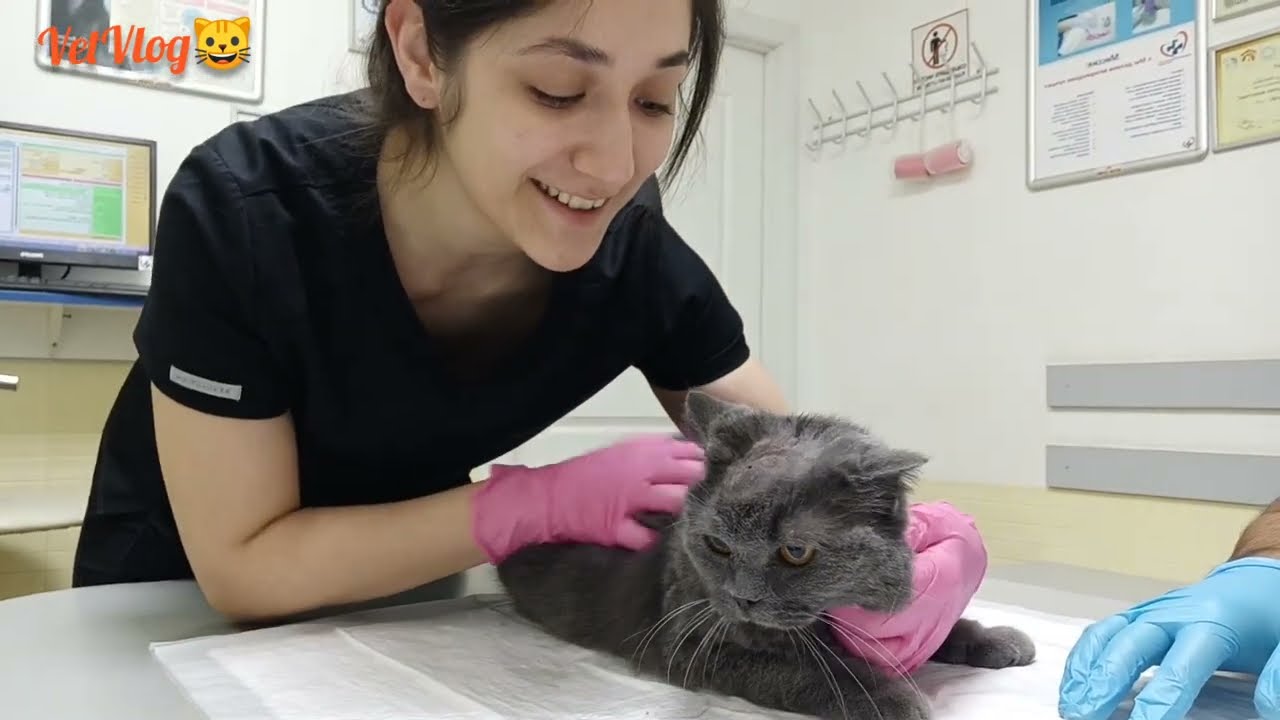 Как лечить абсцесс, на примере пациента 😎