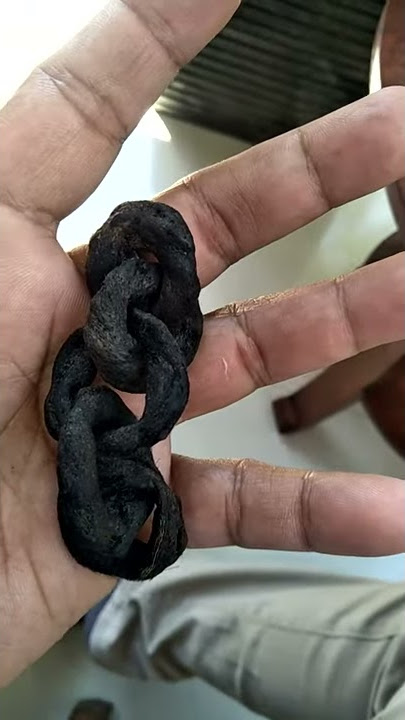 RANTAI BUMI/RANTAI BABI