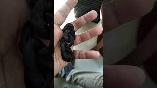 Rantai Bumirantai Babi