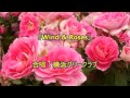 『Wind and Roses』  (五輪真弓)  横浜グリークラブ2013