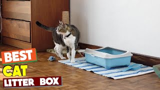 Cat Lovers, Don't Miss Out! 5 Best Litter Boxes to Buy Today