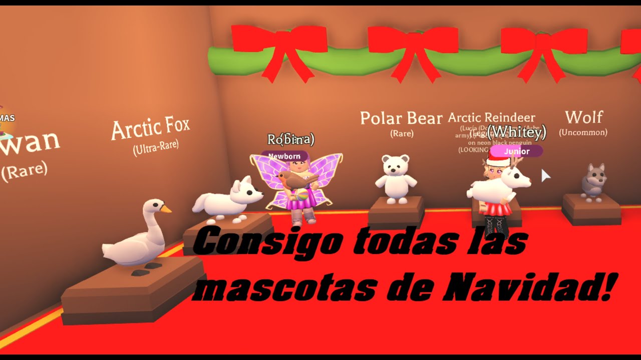 Abriendo 13 Huevos De Navidad Y Consigo Todas Las Mascotas Y Regalos Legendarios Adopt Me Roblox Youtube - jugando adopt me roblox sorteando robux actualicaciÃ³n navidad