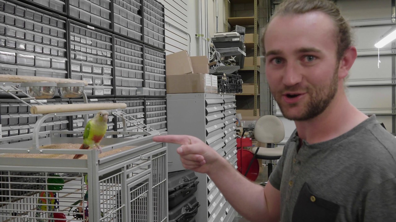 Airguns of Arizona A Walk Through "Airgun Paradise" YouTube