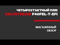 Обзор лодочного мотора GOLFSTREAM F40FEL-T-EFI