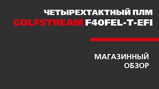 Обзор лодочного мотора GOLFSTREAM F40FEL-T-EFI