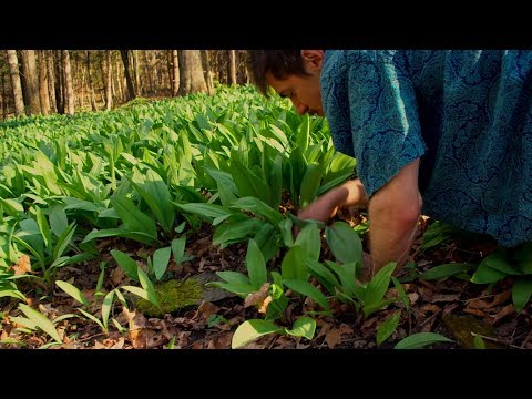 How To Cut Ramps