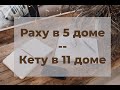 Раху в 5-м доме / Кету в 11-м доме