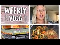 Part 2 weekly vlog work, puppies, more sunrises more good vibes