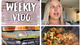 Part 2 weekly vlog work, puppies, more sunrises more good vibes