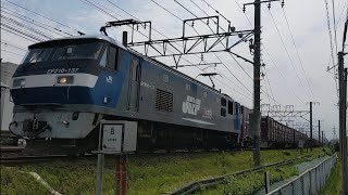 EF210-137号機牽引臨8052レ草薙〜清水 通過 警笛有り