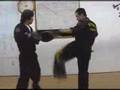 Techniques of gongkwon yusul korean martial arts