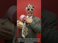 One week of The Funny Life of Pets full transformation journey