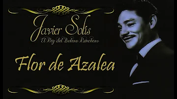 Javier Solís Flor De Azalea    Letra