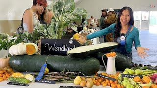 The National Heirloom Expo 2023! by Wendi Phan 2,414 views 6 months ago 15 minutes