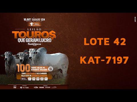 LOTE 42   KAT 7197