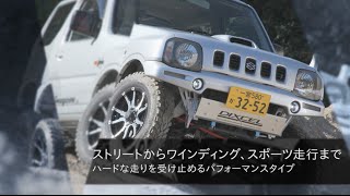DIXCEL：HIGH PERFORMANCE BRAKE PADS & DISCS