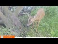 Kom ook in actie en help de otter! Kijk op ark.eu/helpdeotter