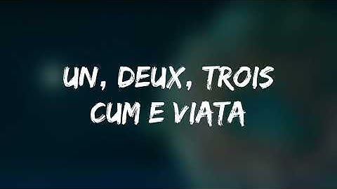 Tzanca Uraganu - Vorba Francezului | Versuri