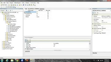 SQL Server 2005: 03 Llaves Primarias