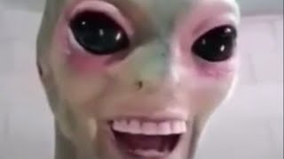 Meme Mania 10 Minutes Of Dank Memes - Dreamlandz