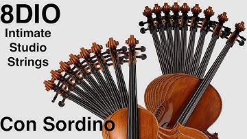 Intimate Studio Strings by 8Dio - Demo of all the presets: Traditional Con Sordino (2022)