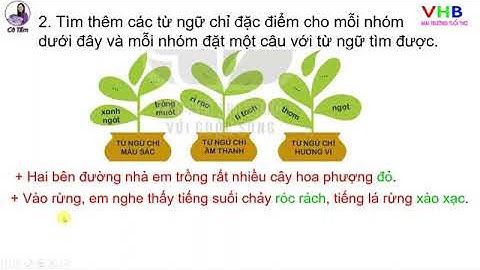 Tiếng việt 3  Tập 1  Bài 10  Từ ngữ chỉ đặc điểm câu nêu đặc điểm  Trang 48  Kết nối online video cu