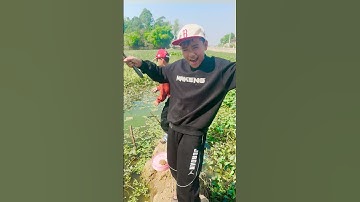 Rủ Nhau Đi Câu Cá Giữa Trưa Và Cái Kết...| Minh Khoa #Shorts