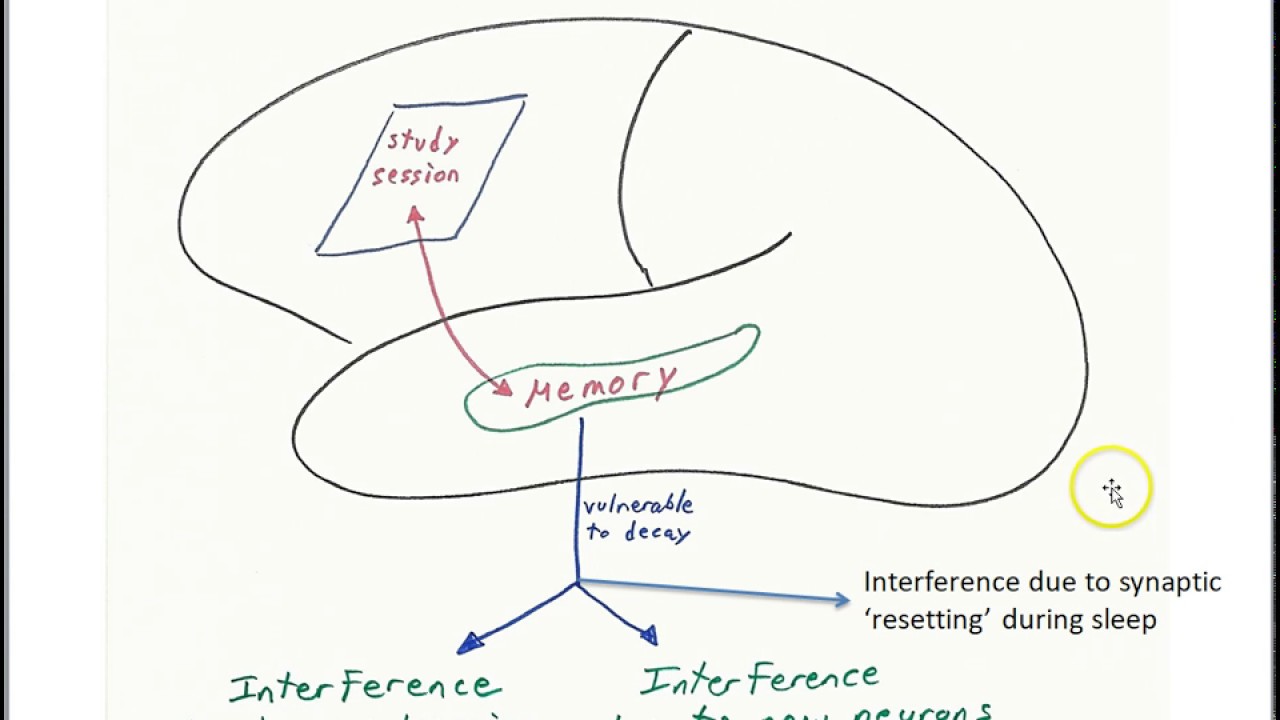 Why consolidate?