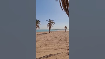 صباحكم احلى بذكر الله سورة يس