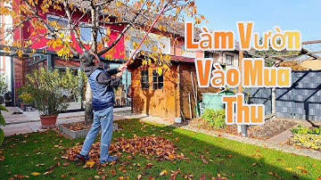 Tận Dụng Những Lá Cây Vào Muà Thu Đễ Làm Phân Hủ Cơ