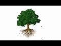 Powerpoint motion animation  tree and leaf falling  animation in powerpoint