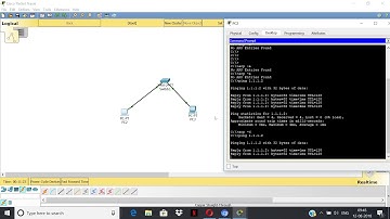 arp request and response