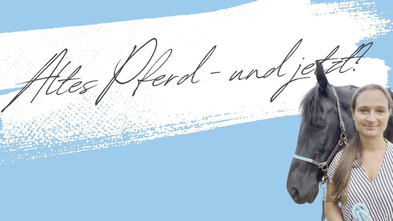 Altes Pferd: 4 Fragen, 4 Antworten