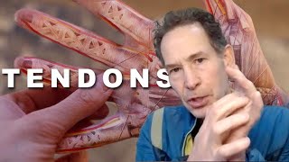 The Science of Tendons and Climbing: Pt 1 with Eric Hörst