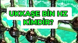 Hz Ukkaşe Ki̇mdi̇r? Peygamber Efendi̇mi̇zi̇n Peygamberli̇k Mührünü Öpen Sahabe Türbesi̇ Nerdedi̇r?