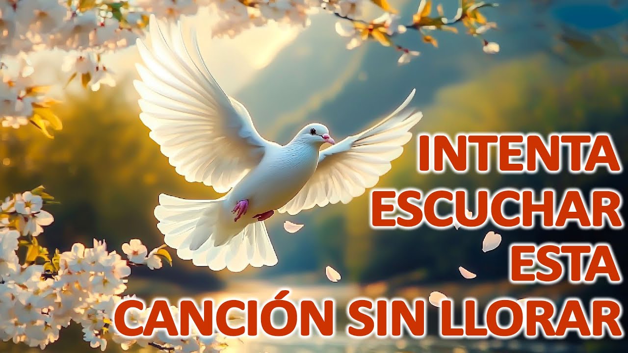 🙏🏻INTENTA ESCUCHAR ESTA CANCIÓN SIN LLORAR 🙏🏻 LA CANCIÓN CATÓLICA MAS HERMOSA DEL MUNDO 2025