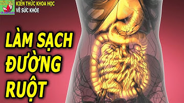 5 Cách làm sạch và thông thoáng đường ruột đơn giản