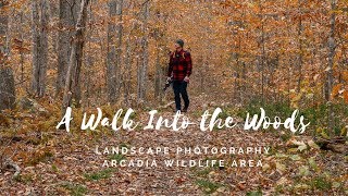 Landscape Photography A Walk Into the Woods