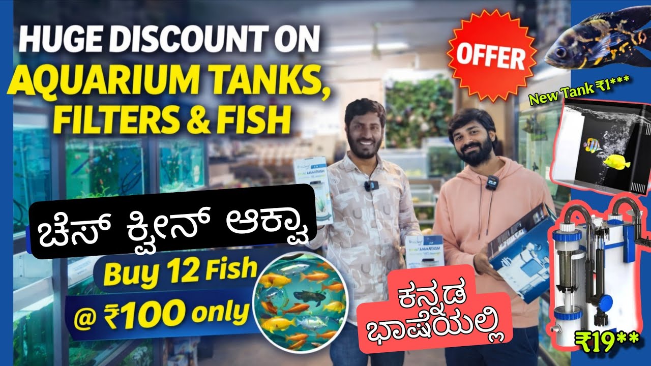 12 ಮೀನು @ 100 ಮಾತ್ರ ,ಬೃಹತ್ ಅಕ್ವೇರಿಯಂ ಮಾರಾಟ 🤯 Tank, Filter & Fish Lowest Price | Chess Queen aqua pet