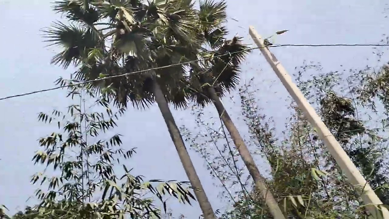 👉chalo ajj gaoo ka Malang chawk ghumte hai 😁