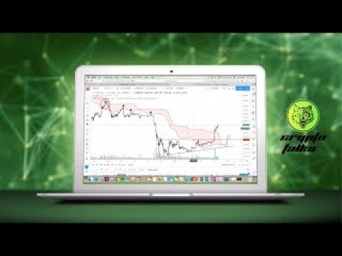 Cryptofalka Szepo Élő Stream - "Elkezdődött a medve!" - mondják sokan