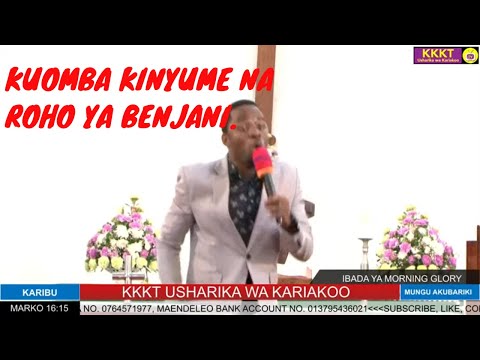 Video: Kwa Umri Gani Wa Kuunganisha Poodle