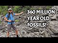 Unbelievable Treasure Hidden in these Rocks! Fossil Hunting in Alpena, Michigan for Ancient Sea Life