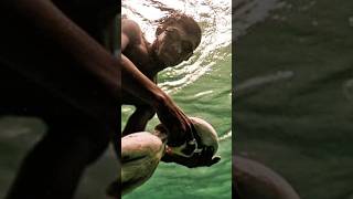 los Bajau: La tribu del mar