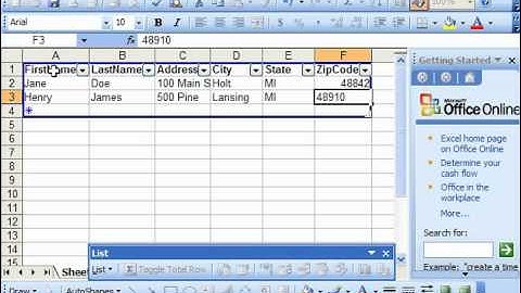 Excel 2003 Tutorial Adding and Editing Records Microsoft Training Lesson 24.2